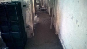 ristrutturazioni bagni appartamenti roma157